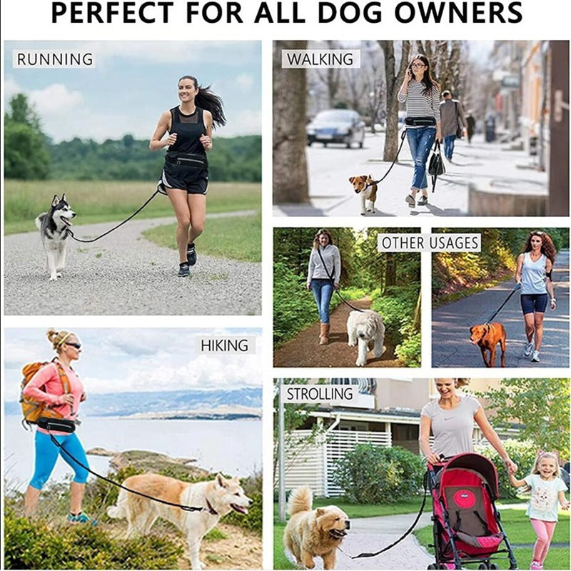 Ultimate Hands-Free Shock-Absorbing Bungee Leash for Walking & Training - Best Dog Bargains