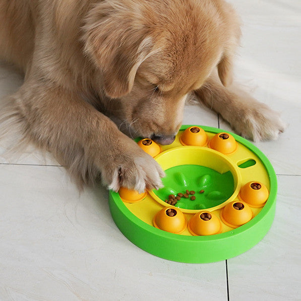 Interactive Dog Puzzle Slow Feeder & IQ-Boosting Training Game - Best Dog Bargains