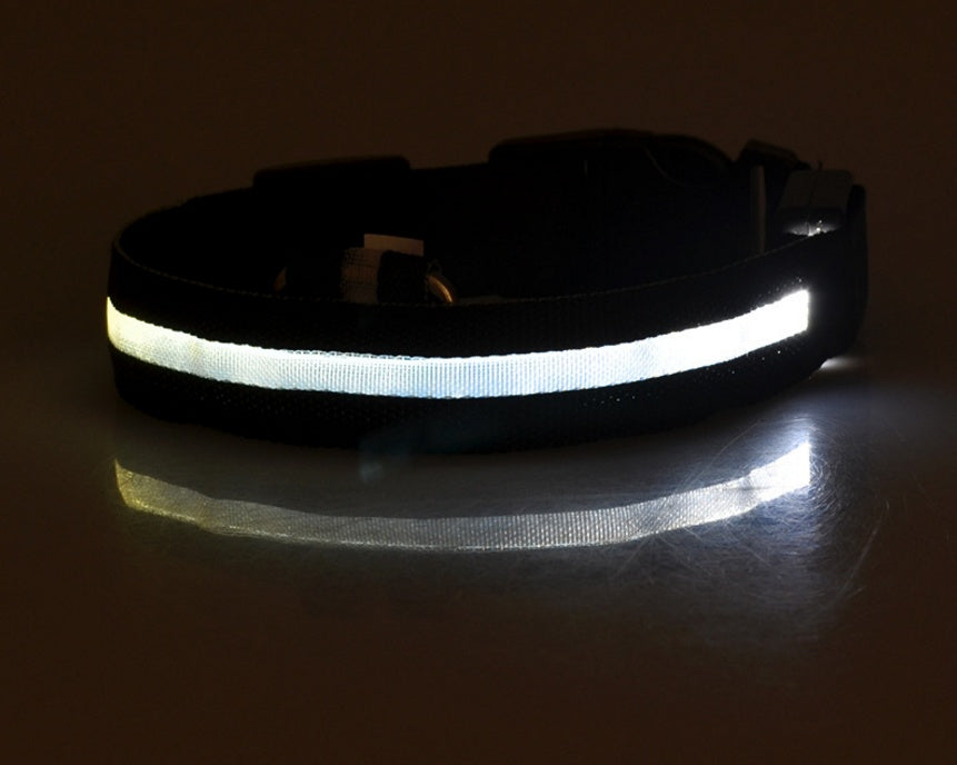 LED Glow-in-the-Dark Nylon Dog Collar - Best Dog Bargains