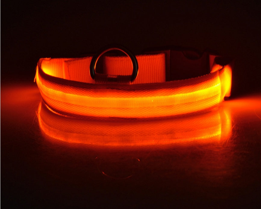 LED Glow-in-the-Dark Nylon Dog Collar - Best Dog Bargains