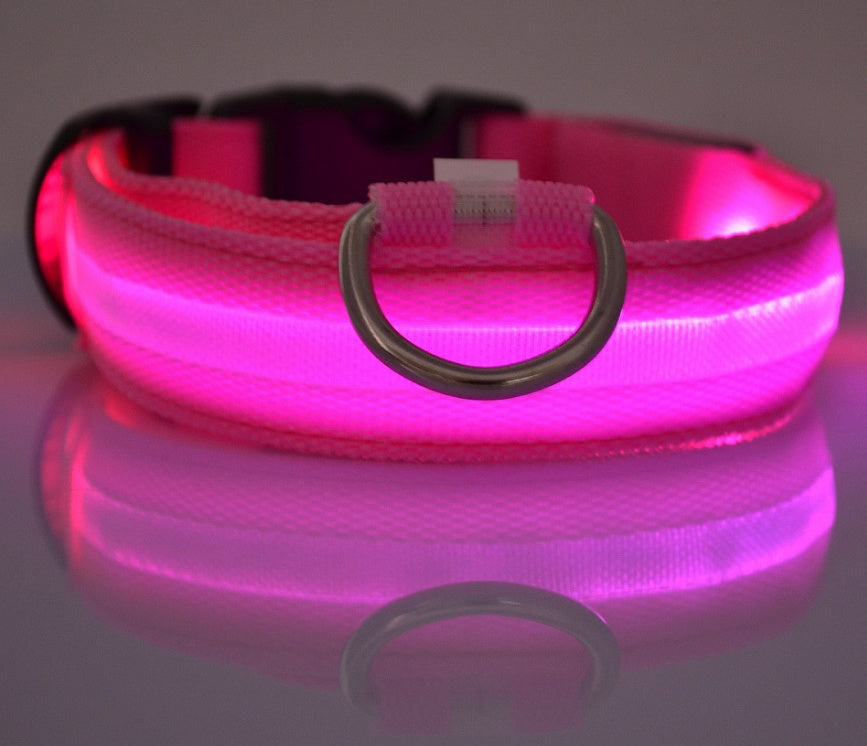 LED Glow-in-the-Dark Nylon Dog Collar - Best Dog Bargains