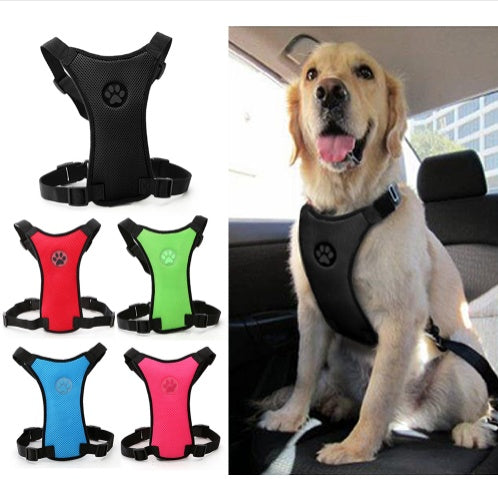 Breathable Mesh Dog Chest Harness & Car Safety Strap - Best Dog Bargains