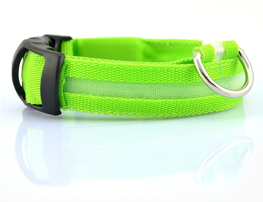 LED Glow-in-the-Dark Nylon Dog Collar - Best Dog Bargains