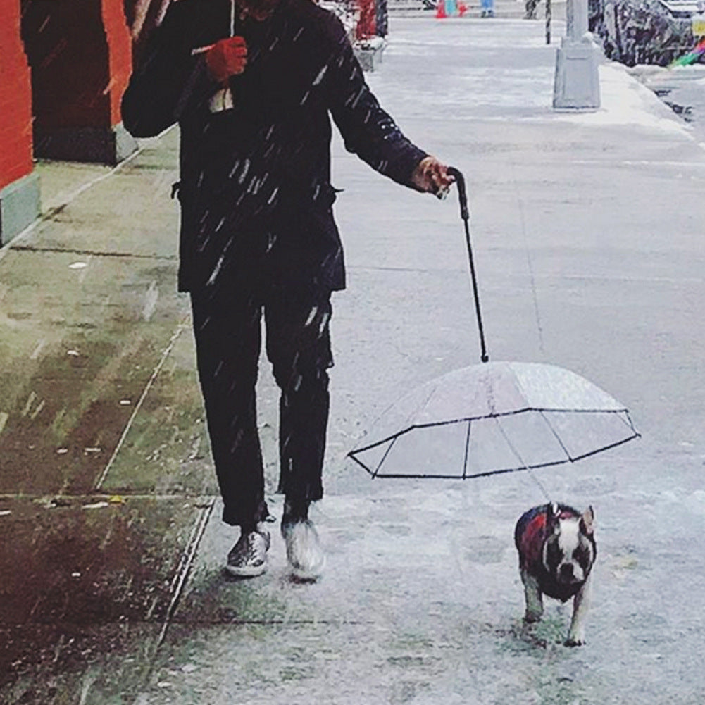 Clear/Transparent Pet Umbrella – Keep Your Dog Dry in Style - Best Dog Bargains