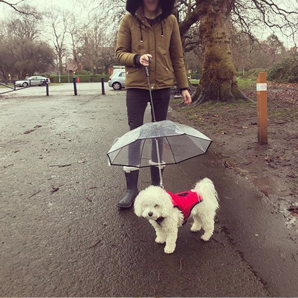 Clear/Transparent Pet Umbrella – Keep Your Dog Dry in Style - Best Dog Bargains