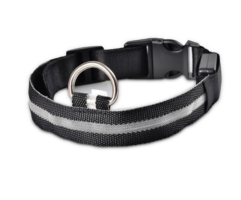 LED Glow-in-the-Dark Nylon Dog Collar - Best Dog Bargains