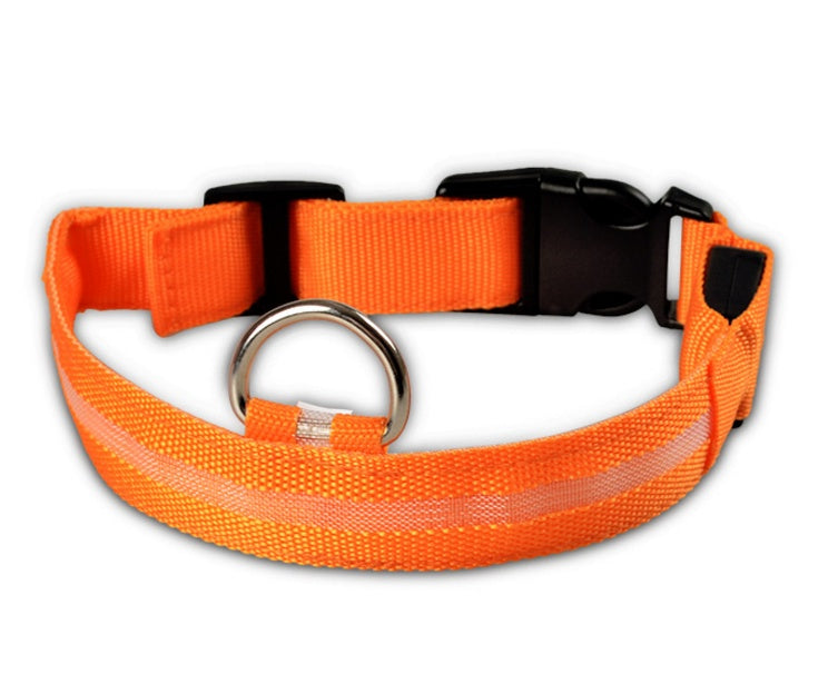 LED Glow-in-the-Dark Nylon Dog Collar - Best Dog Bargains