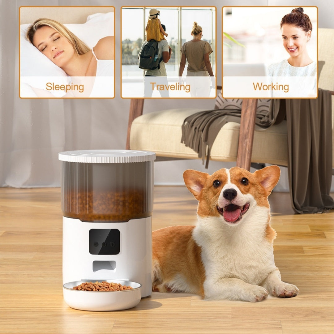 Smart Pet Feeder – Feed Your Cat or Dog From Anywhere - Best Dog Bargains