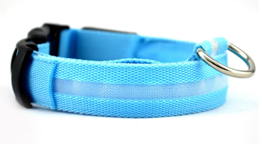 LED Glow-in-the-Dark Nylon Dog Collar - Best Dog Bargains