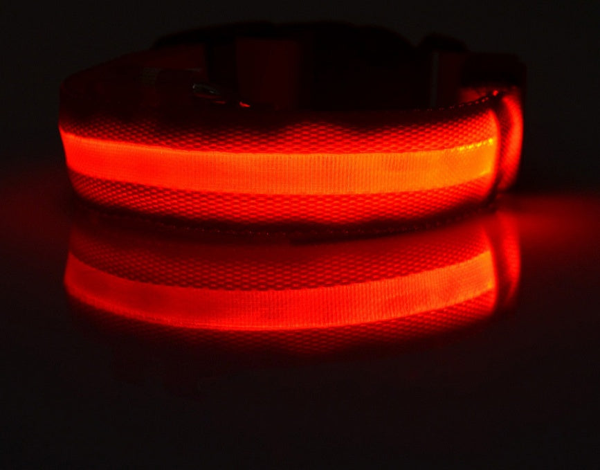 LED Glow-in-the-Dark Nylon Dog Collar - Best Dog Bargains