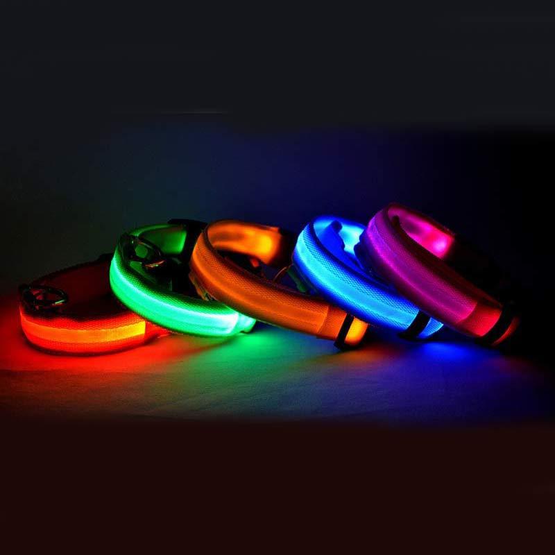 LED Glow-in-the-Dark Nylon Dog Collar - Best Dog Bargains