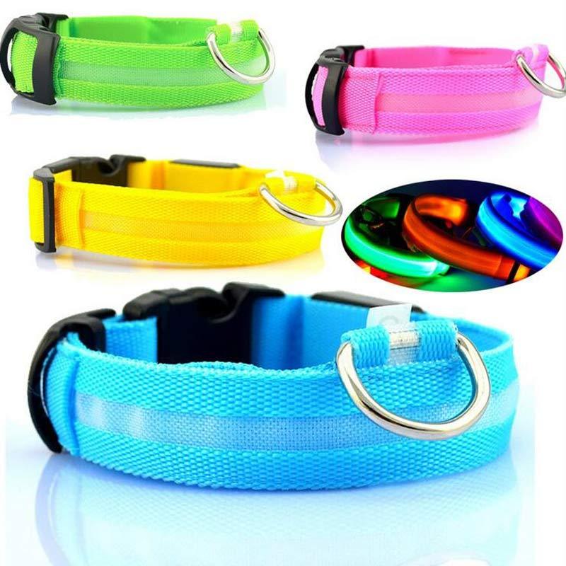 LED Glow-in-the-Dark Nylon Dog Collar - Best Dog Bargains