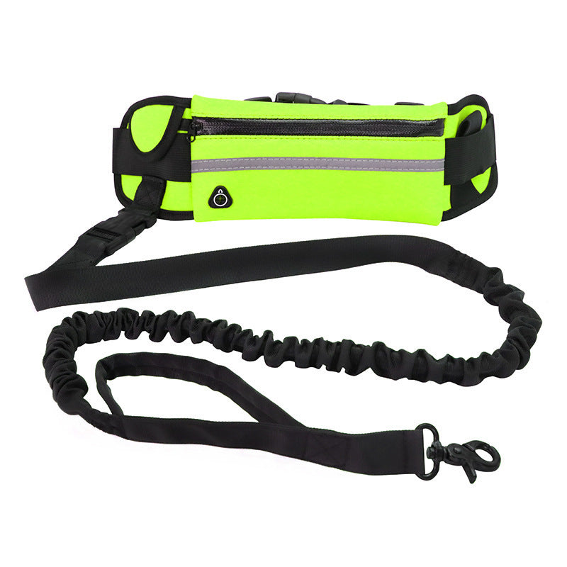 Ultimate Hands-Free Shock-Absorbing Bungee Leash for Walking & Training - Best Dog Bargains