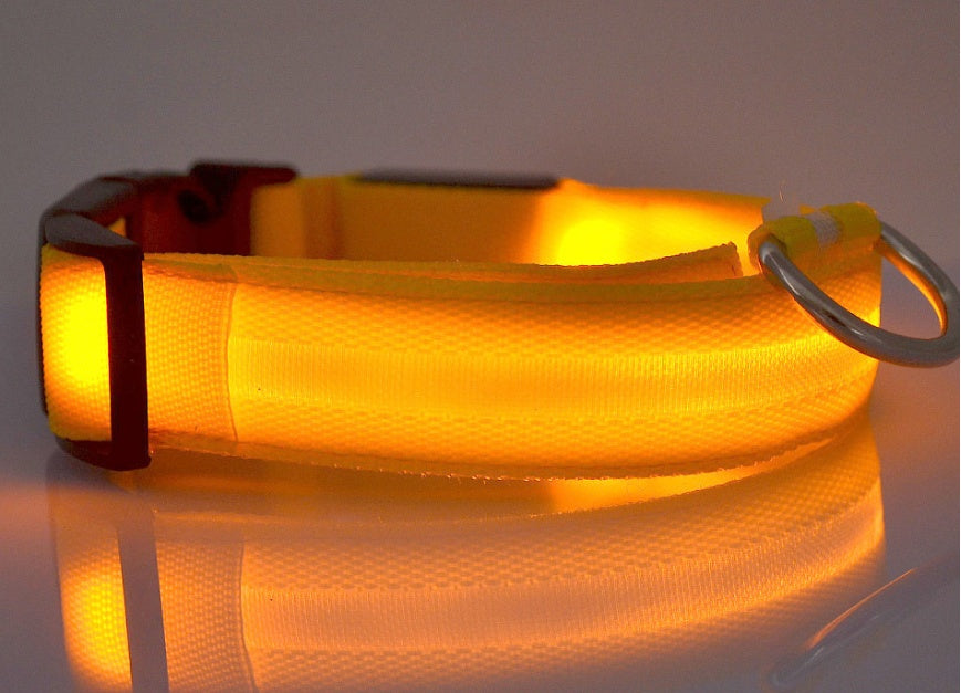 LED Glow-in-the-Dark Nylon Dog Collar - Best Dog Bargains