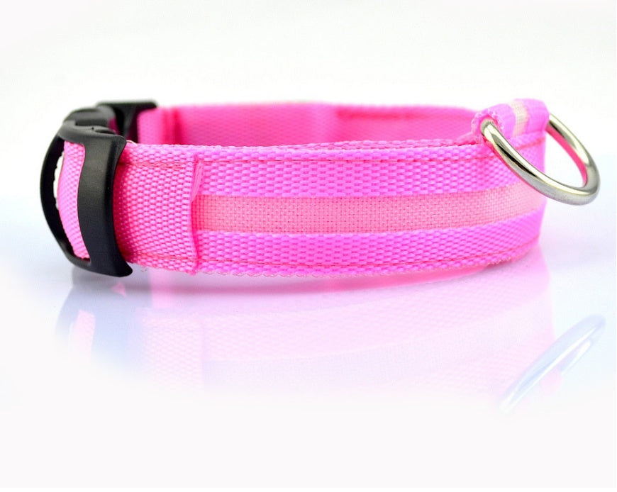 LED Glow-in-the-Dark Nylon Dog Collar - Best Dog Bargains