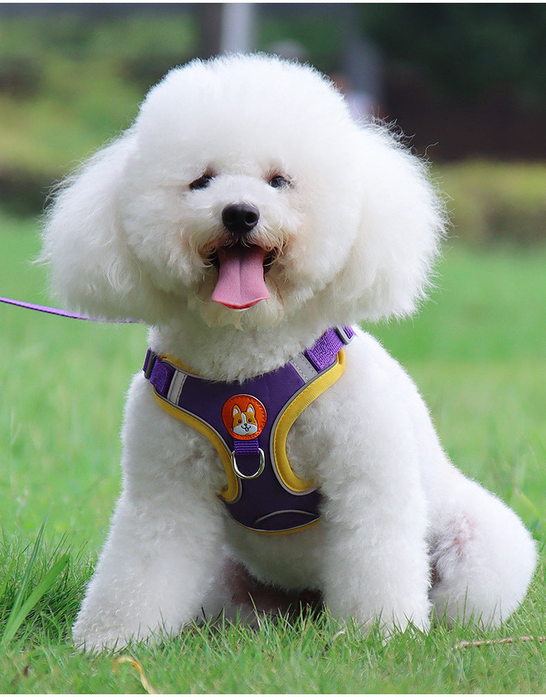 Reflective Soft Mesh Dog Harness with Leash - Best Dog Bargains