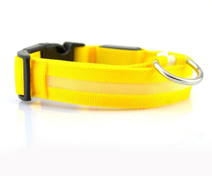 LED Glow-in-the-Dark Nylon Dog Collar - Best Dog Bargains
