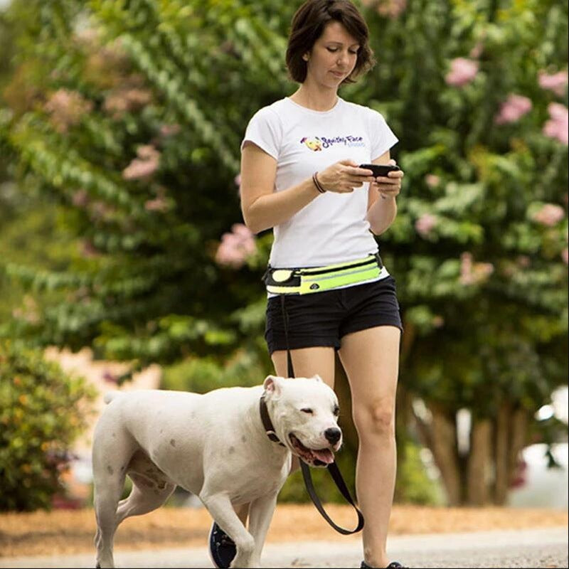Ultimate Hands-Free Shock-Absorbing Bungee Leash for Walking & Training - Best Dog Bargains
