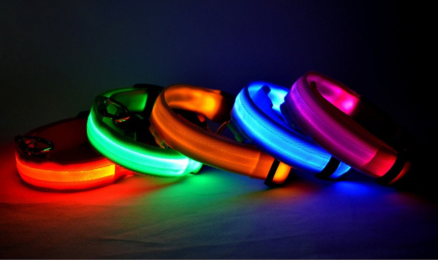LED Glow-in-the-Dark Nylon Dog Collar - Best Dog Bargains