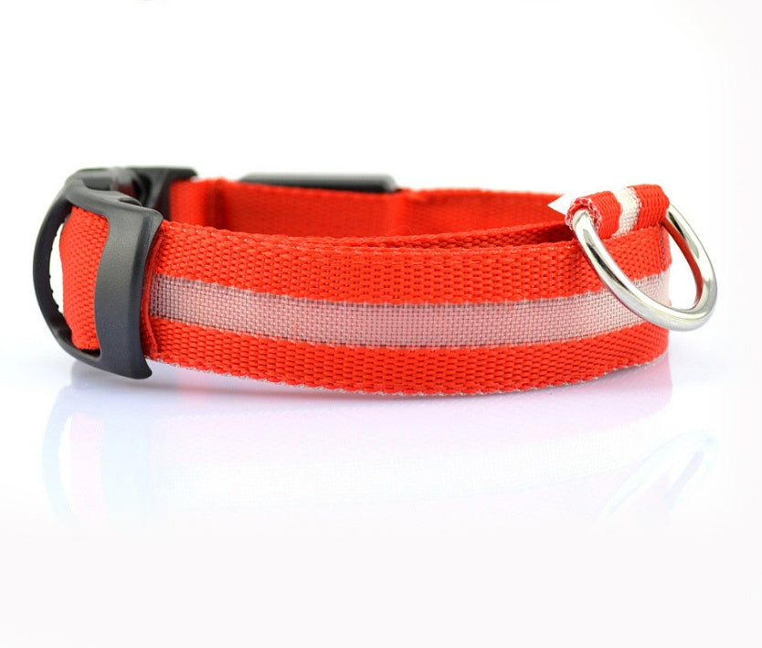 LED Glow-in-the-Dark Nylon Dog Collar - Best Dog Bargains