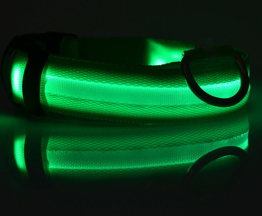LED Glow-in-the-Dark Nylon Dog Collar - Best Dog Bargains