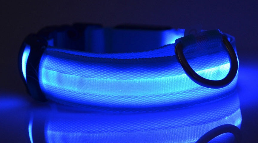 LED Glow-in-the-Dark Nylon Dog Collar - Best Dog Bargains