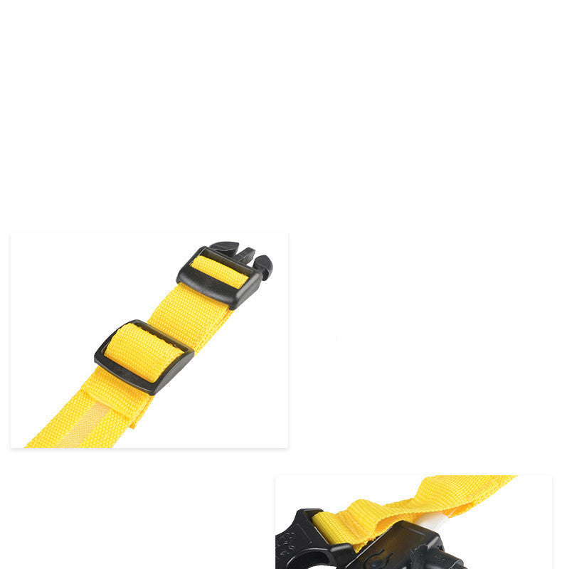 LED Glow-in-the-Dark Nylon Dog Collar - Best Dog Bargains