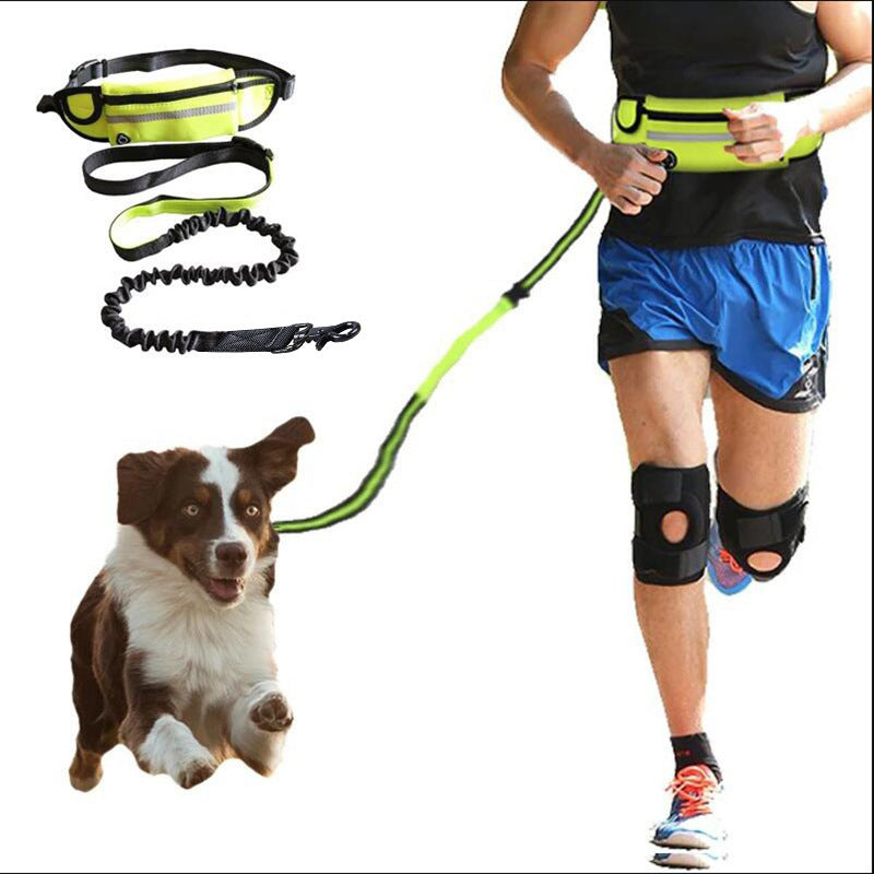 Ultimate Hands-Free Shock-Absorbing Bungee Leash for Walking & Training - Best Dog Bargains