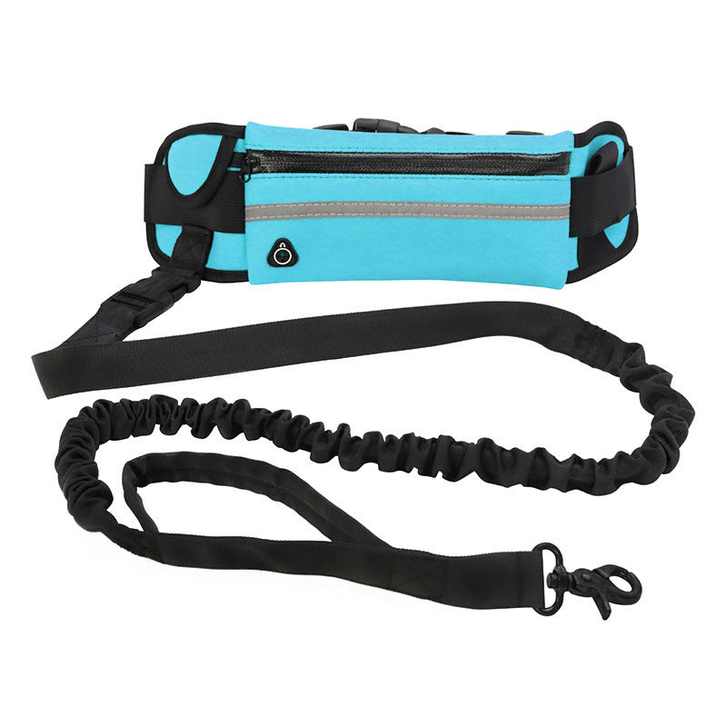 Ultimate Hands-Free Shock-Absorbing Bungee Leash for Walking & Training - Best Dog Bargains