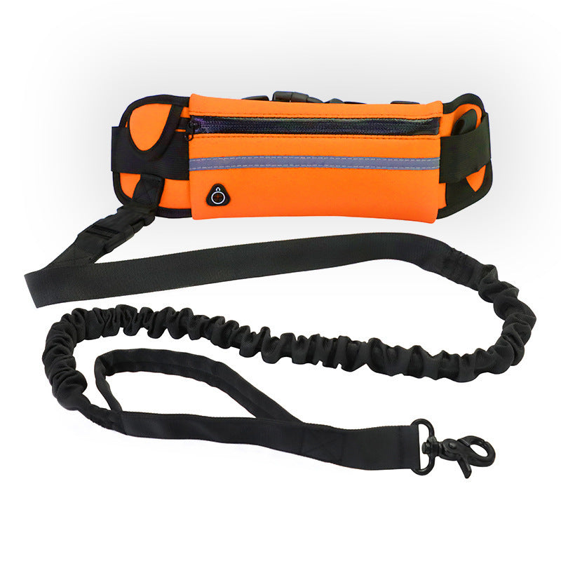Ultimate Hands-Free Shock-Absorbing Bungee Leash for Walking & Training - Best Dog Bargains