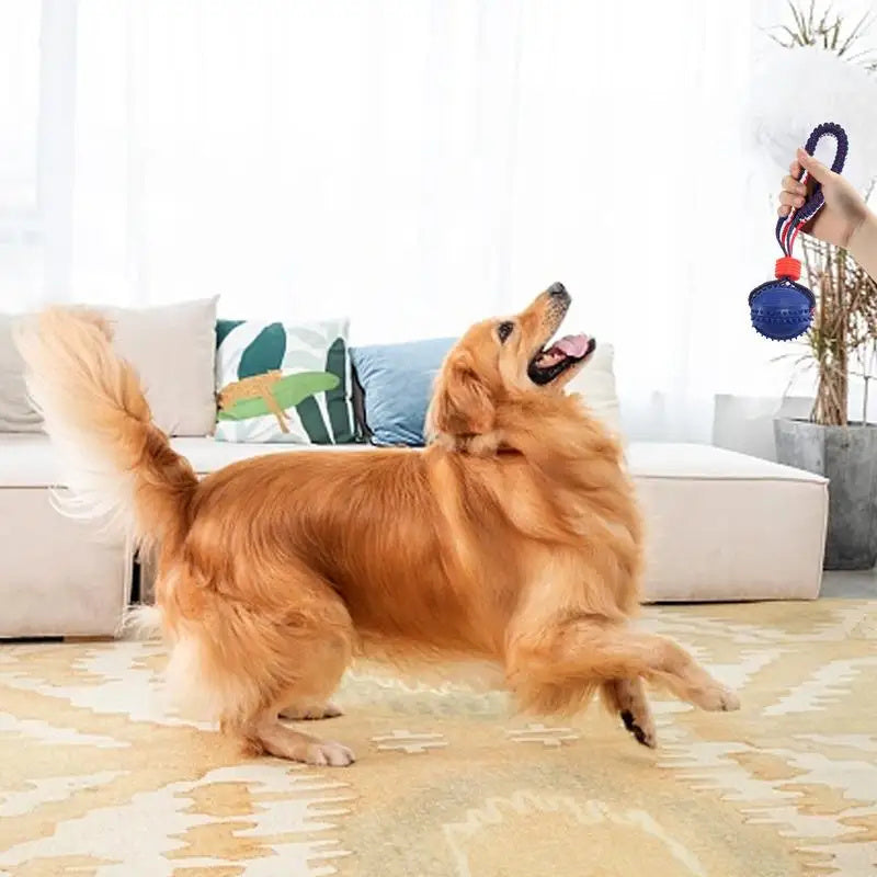 Interactive Teething Toy Ball With Rope for Training Fun - Best Dog Bargains