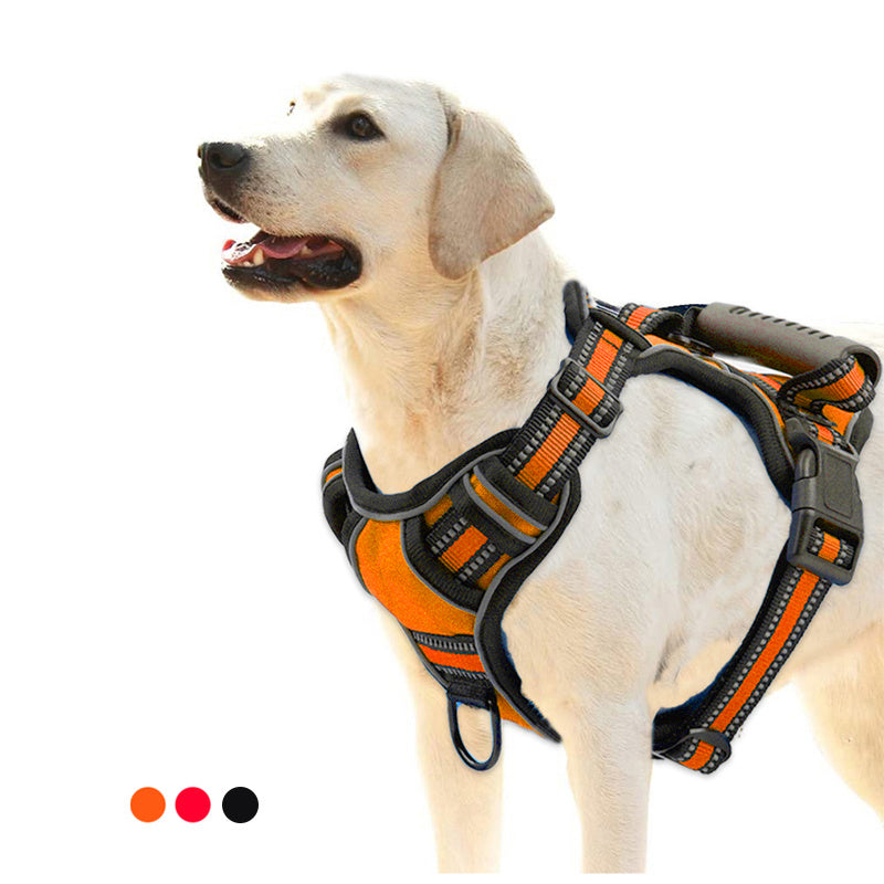 Reflective Dog Harness – Breathable Vest for Safe, Easy Walks - Best Dog Bargains