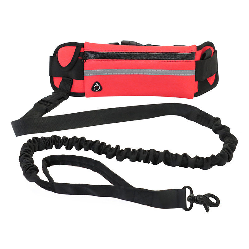 Ultimate Hands-Free Shock-Absorbing Bungee Leash for Walking & Training - Best Dog Bargains