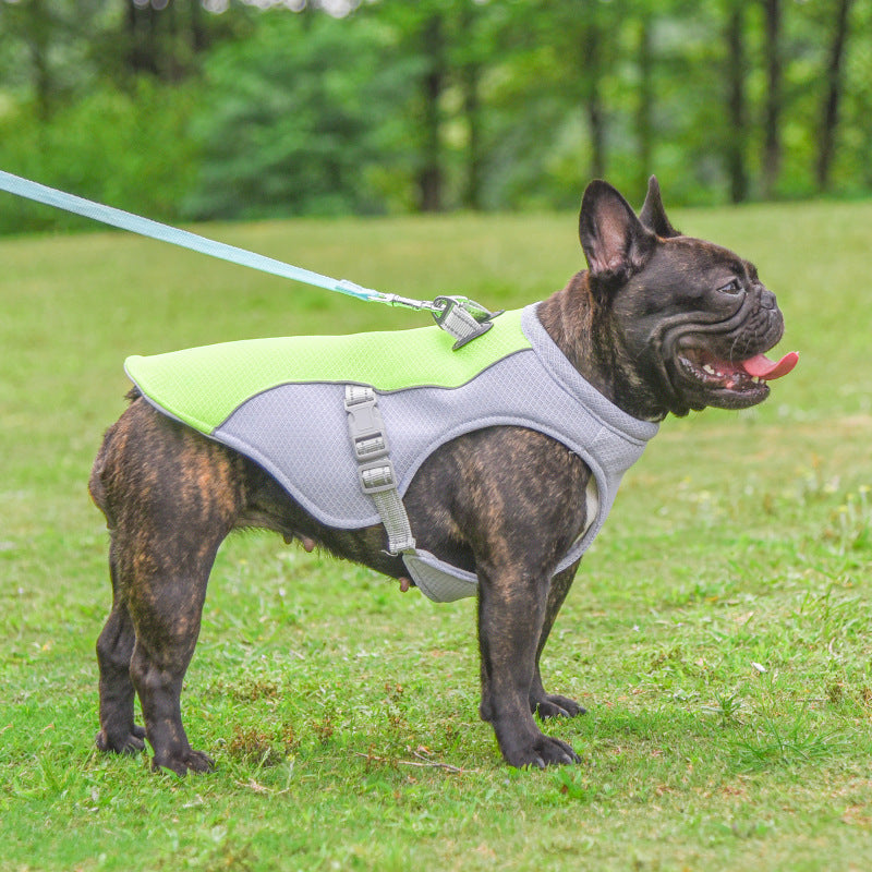 Breathable Dog Cooling Vest for Summer Adventures - Best Dog Bargains