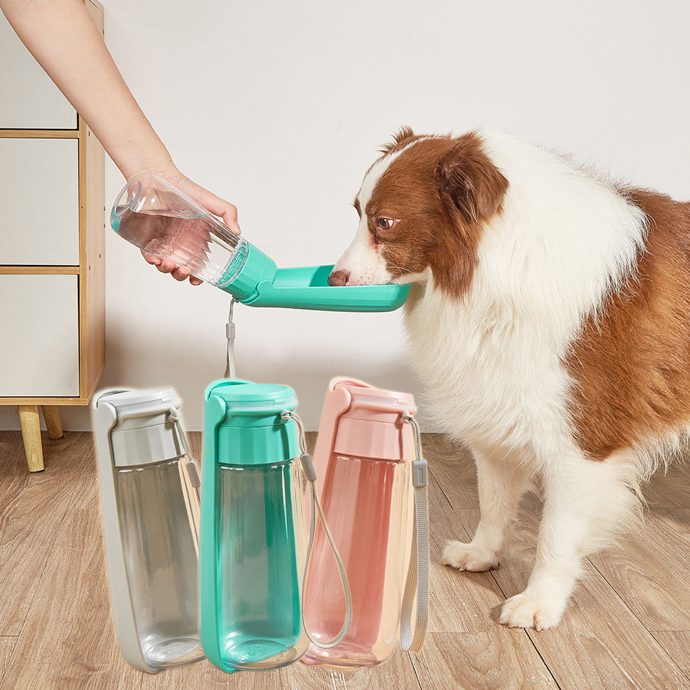 Portable Folding Dog Water Bottle for Outdoor Adventures - Best Dog Bargains